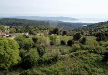 485636-Vorschaubild2