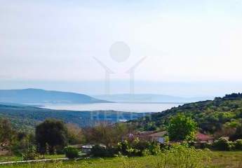 485636-Vorschaubild4