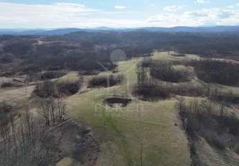 485874-Vorschaubild2