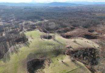 485874-Vorschaubild3