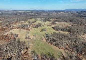 485874-Vorschaubild4