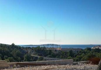 485915-Vorschaubild3