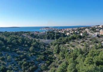 485917-Vorschaubild2