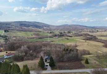 486010-Vorschaubild2