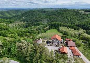 Zwischen Weinreben und Natur: Charmantes Anwesen mit traditionellem Holzhaus