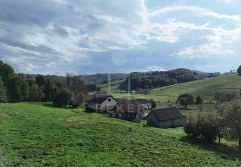 490559-Vorschaubild2
