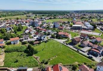 490747-Vorschaubild2