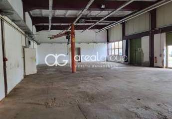 452984-Vorschaubild3