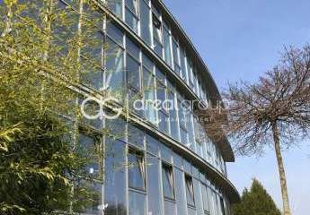 469904-Vorschaubild2