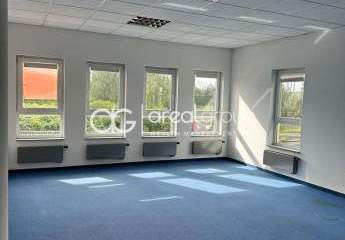 469904-Vorschaubild4