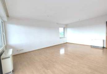 427420-Vorschaubild2