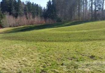 436027-Vorschaubild3