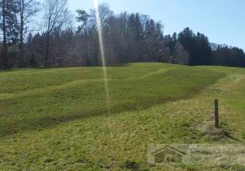 436027-Vorschaubild4