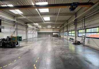 393138-Vorschaubild3