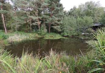 448387-Vorschaubild2