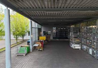 393138-Vorschaubild4