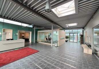 423147-Vorschaubild2