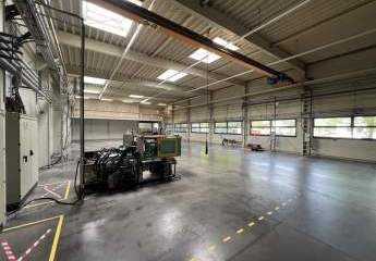 393138-Vorschaubild2