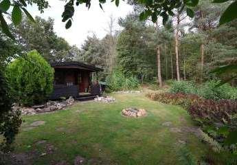 448387-Vorschaubild4