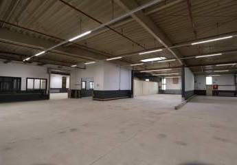 444973-Vorschaubild3