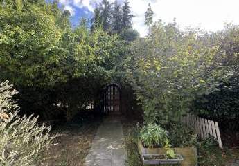 444009-Vorschaubild4