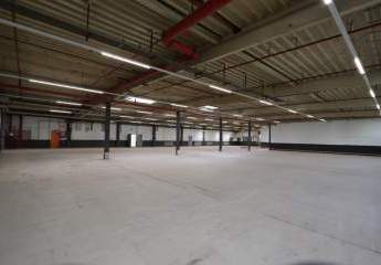 Gepflegte Halle (Teilbar) - optional mit bis zu 150m² Bürofläche