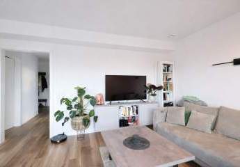 467691-Vorschaubild4