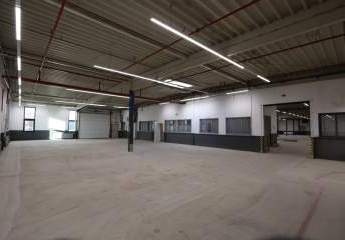 444973-Vorschaubild4