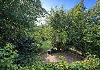 444009-Vorschaubild4