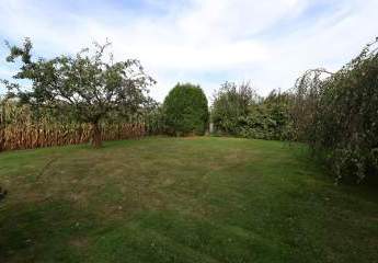 449217-Vorschaubild3