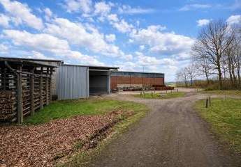 477331-Vorschaubild3