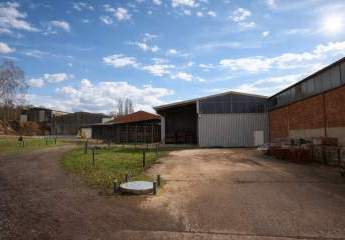 477331-Vorschaubild4