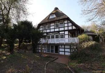 481963-Vorschaubild2