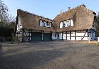 481963-Vorschaubild3