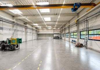 486359-Vorschaubild2