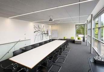 486393-Vorschaubild2