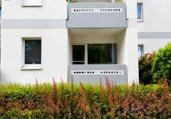 494014-Vorschaubild2