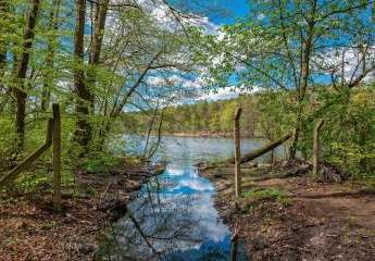 458676-Vorschaubild3