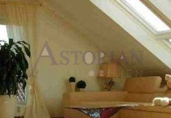 458677-Vorschaubild3