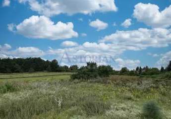 459744-Vorschaubild2