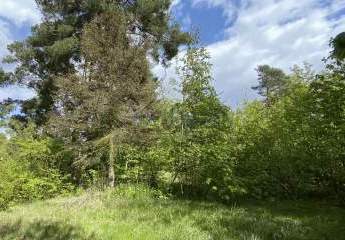 460740-Vorschaubild2