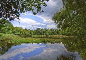 434650-Vorschaubild4