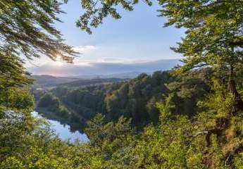 468236-Vorschaubild2