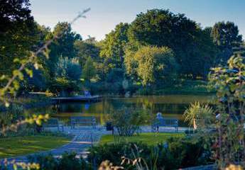 471782-Vorschaubild3