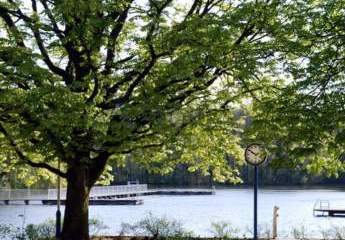 466174-Vorschaubild3