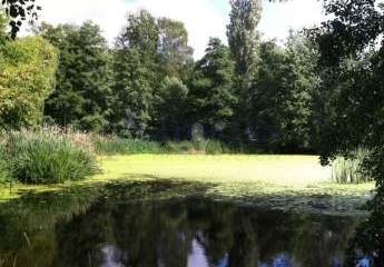 466174-Vorschaubild4