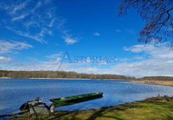 478398-Vorschaubild4