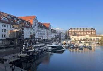 479228-Vorschaubild4