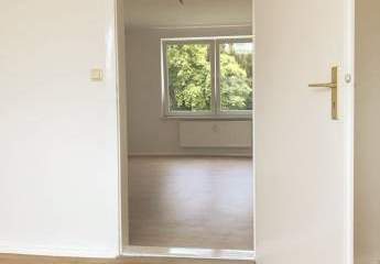 483378-Vorschaubild4