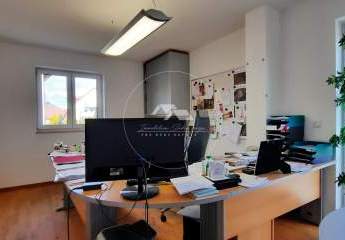 411297-Vorschaubild4